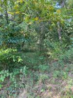 Lot 15 Bankfoot Drive