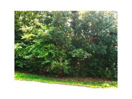 Dunsford  DR