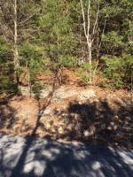 Black Oak  DR