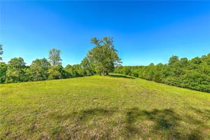 23 Acres Railroad Cut Road