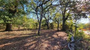 Lot 19 & 20 Dunkeld Drive