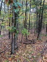 Lot 42/43 Cardinal Drive