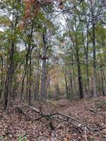 Lot 2 Rocky Branch Road
