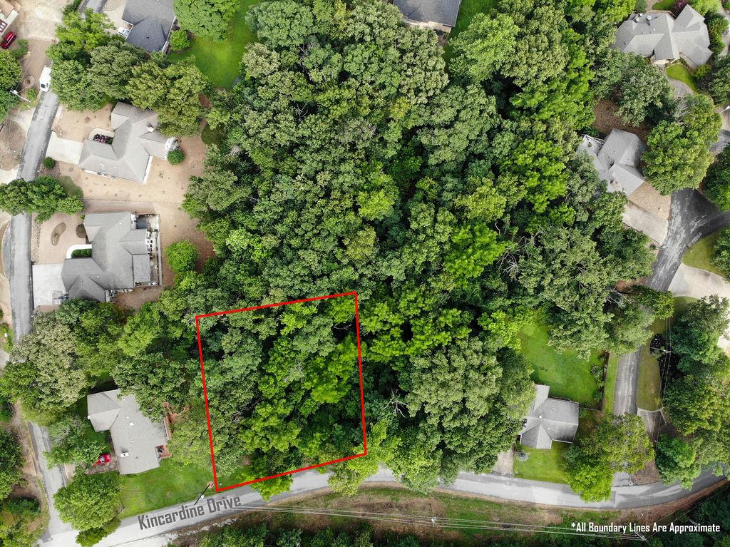 Image 4: Wooded parcel featuring mature trees, a defined bo