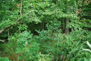 Lot 20 Berkshire Drive