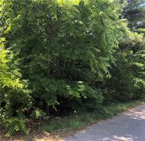 Kintyre Lane