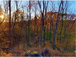 Olmsted Place