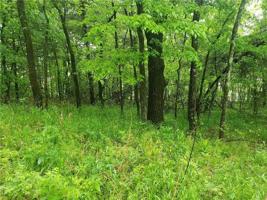 Lot 64 Horseshoe Lane