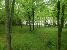 Lot 61,62 & 63 Horseshoe Lane