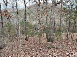 148 Wild Turkey Drive