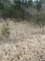 Lot 18 Block 1 Horseshoe Drive
