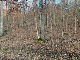 Lot 9 Block 2 Woodside Lane