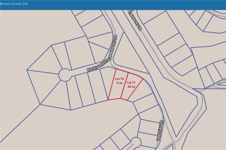 Lots 70, 71 W Airport Road