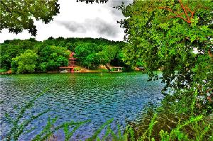 6 Whitfield  LN