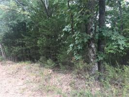 Lot 66 Pine Road