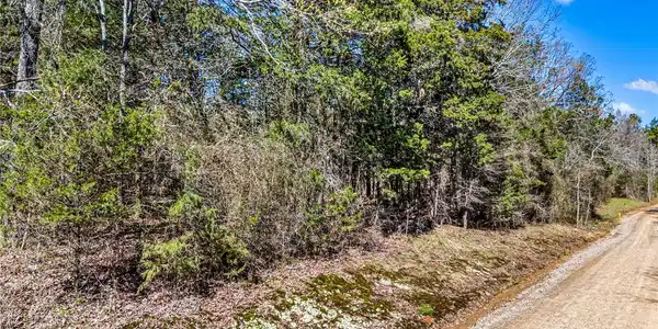 Image 4: View of dirt / gravel road