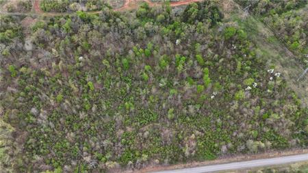 17.94 acre County Road 2228