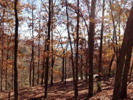 Lot 45 Dogwood Drive