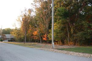 Berrydale Lane
