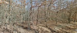 Lot 25 Strichen Drive