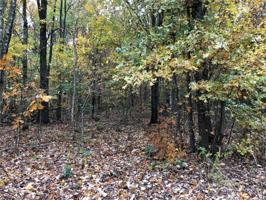 Lot 15 & 16 Coylton Drive