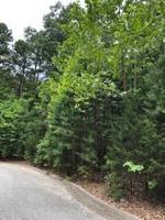 Lot 3 Bonnie Circle
