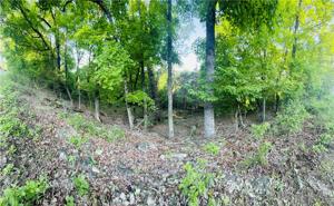 Quail Drive