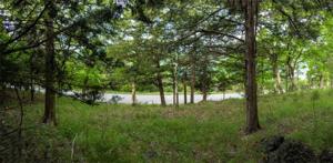 Unit 117 Appaloosa Drive