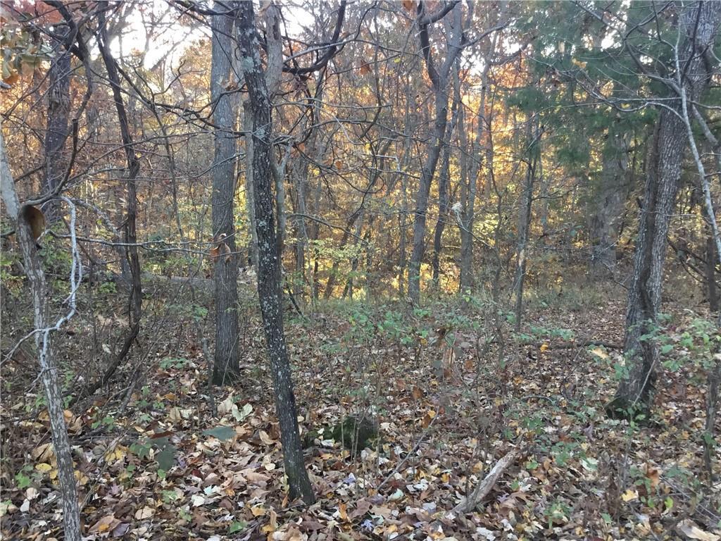 Image 1: The property features a wooded landscape with matu