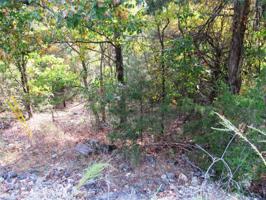 Lot 2 Maple  DR