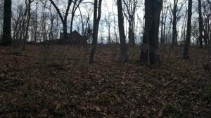 Maltby  LN