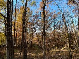 65 Leatherwood Drive