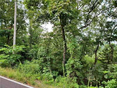 Stateline Drive