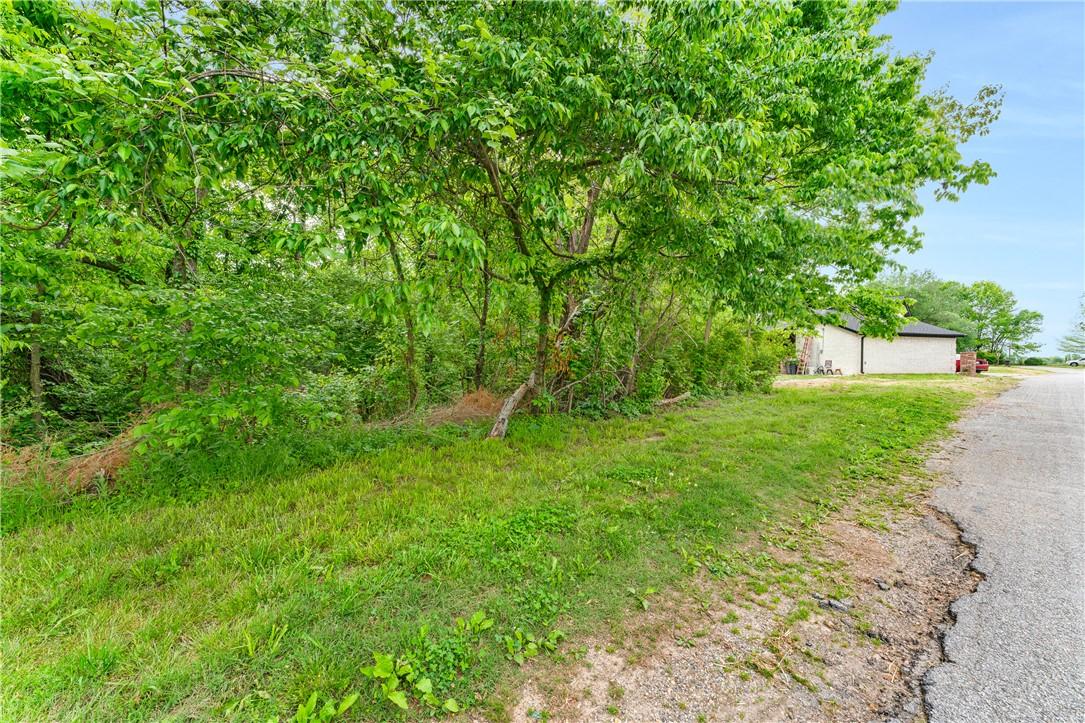 Image 3: Expansive lot featuring mature trees and lush gree