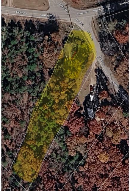 Image 1: Aerial Survey. Illustrating the property boundary