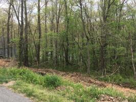Chelmsworth Drive