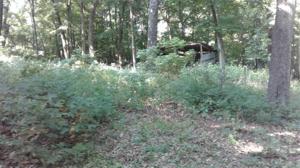 10.09AC Ventris Road