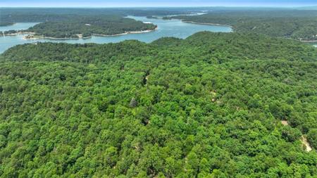 59.73 Acres Archer Lane