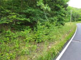 100 Stateline/Wild Turkey Drive