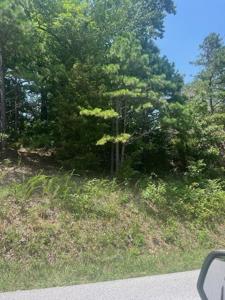 8119 Beaver Shores Road