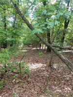 Country Club Lane