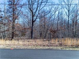 Argyll Drive