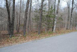 Lot 36 Wigtown Lane
