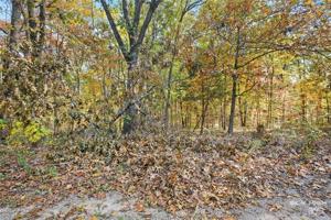 Lot 3, Ullock Circle