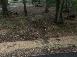 Lot 82 Block 1 Cedar Drive