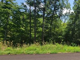 Lot 15 Block 8 Selkirk Drive