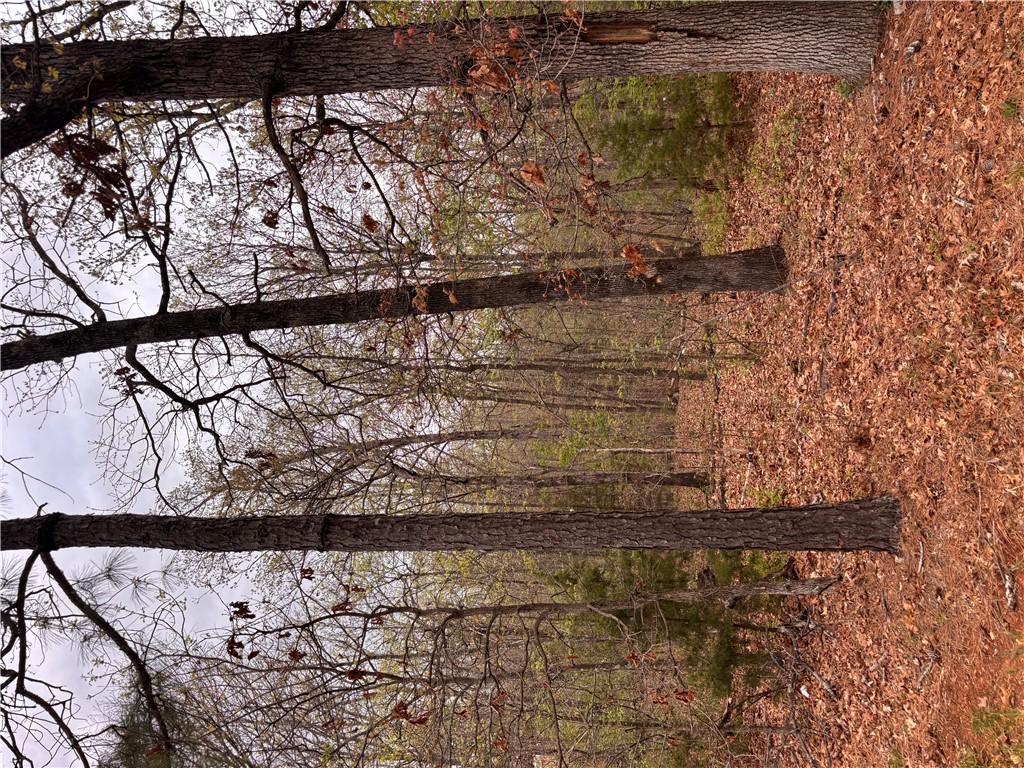 Image 2: View of nature