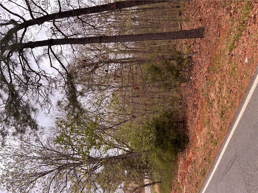 Image 3: View of asphalt street