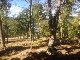 Lot 25 Ozark Drive
