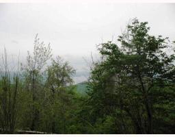 Lots 3 & 4 Timberline Drive